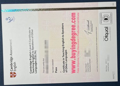 Fake Cambridge English Level 5 Certificate for job