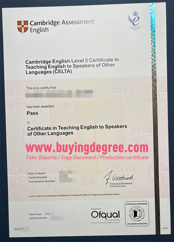 fake Cambridge English Level 5 Certificate for job