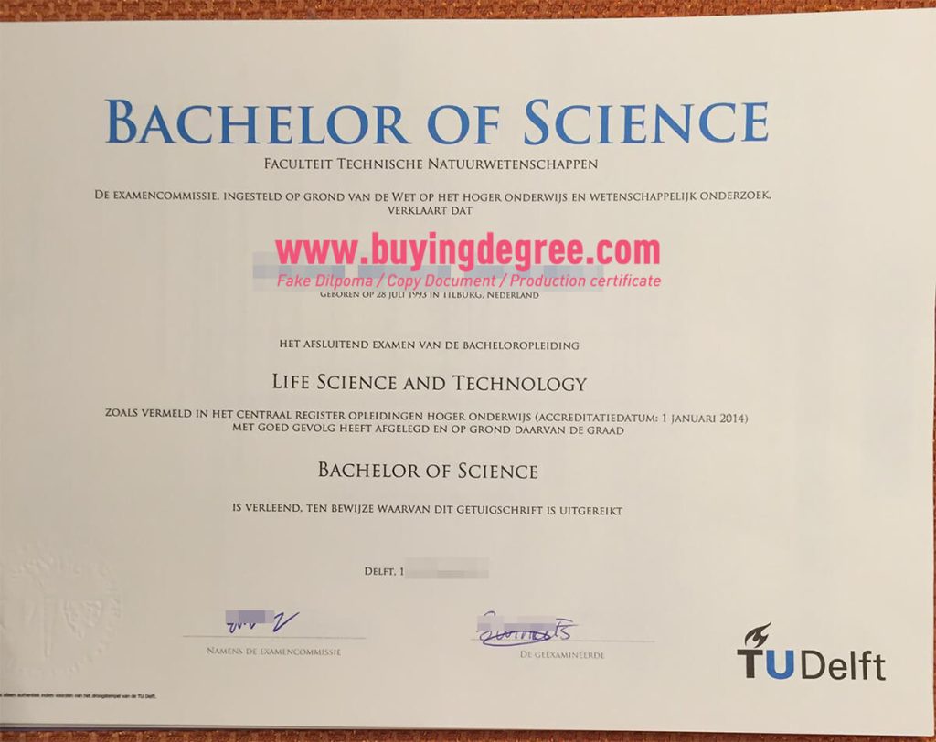 Fake TU Delft Degree