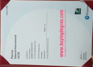 Fake Edexcel GCSE certificate online