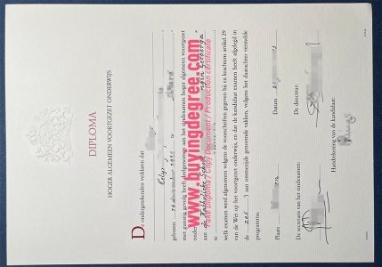 fake HAVO diploma online