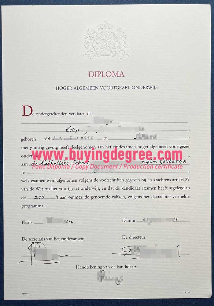 fake HAVO diploma online
