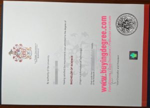 A real fake La Trobe University degree in Australia