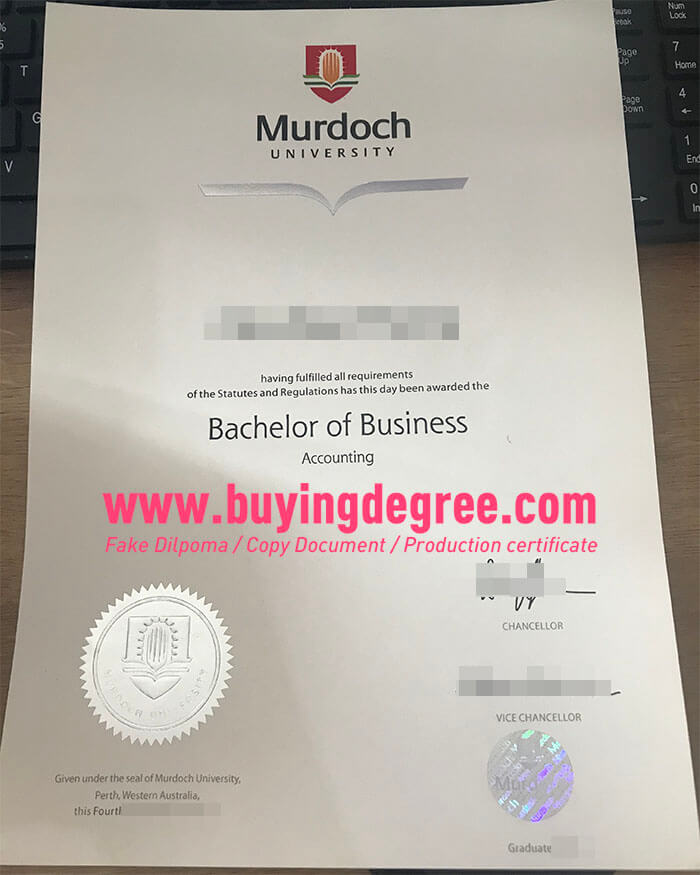 Murdoch University bachelor's degree