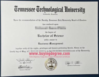 Tennessee Technological University degree