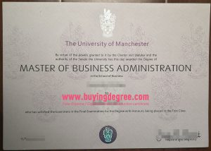 Can i get fake MBA degree certificate, CBA degree for job