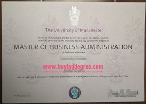 Can i get fake MBA degree certificate, CBA degree for job