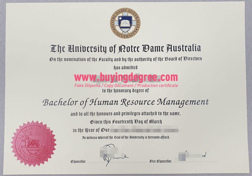 UNDA bachelor's degree certificate