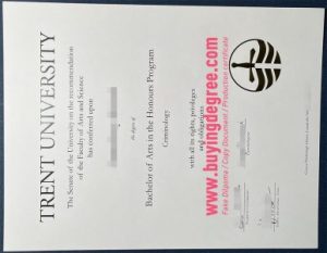 Buy a real fake Trent University bachelor's degree online