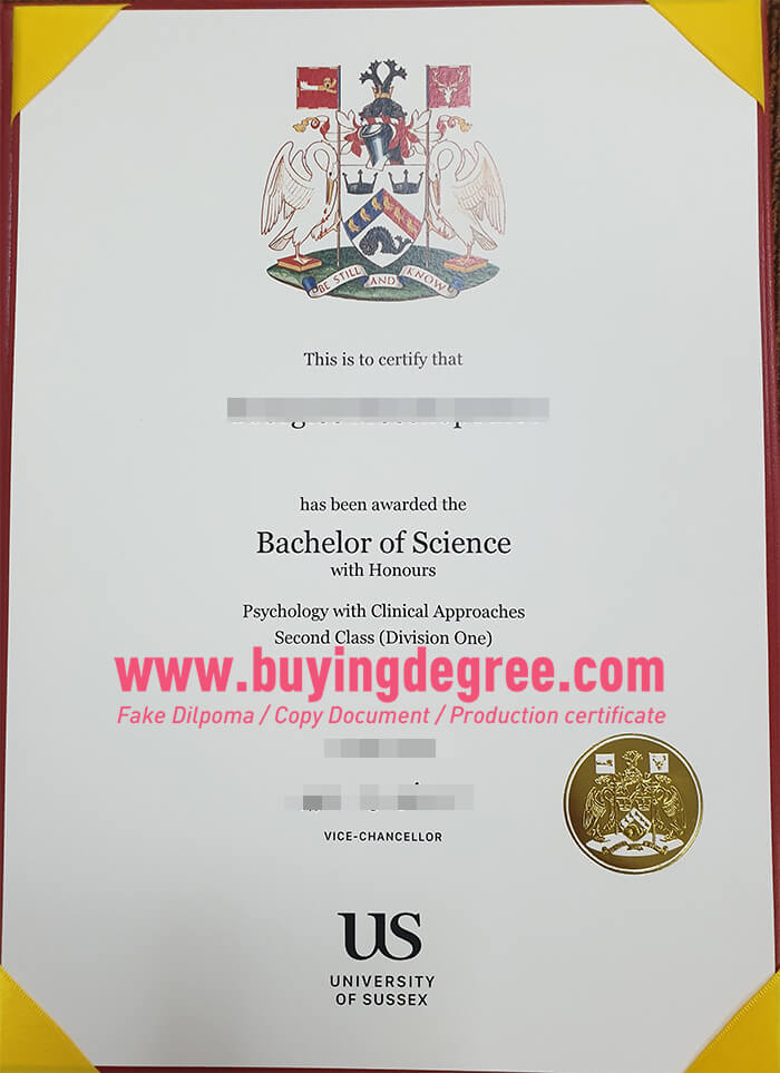 Univeristy of Sussex degree certificate