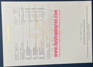 Fake University of Brighton degree transcript