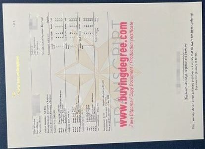 Fake University of Brighton degree transcript