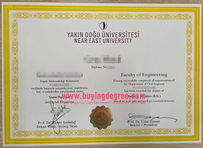 A Yakın Doğu Üniversitesi degree