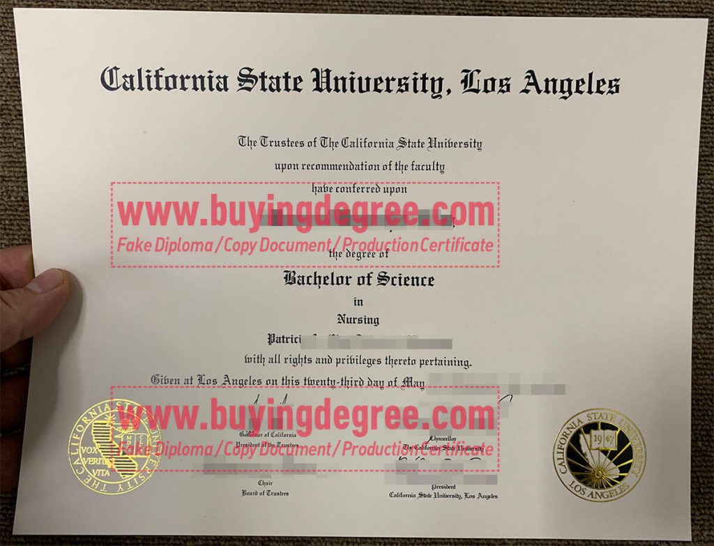 CSULA degree