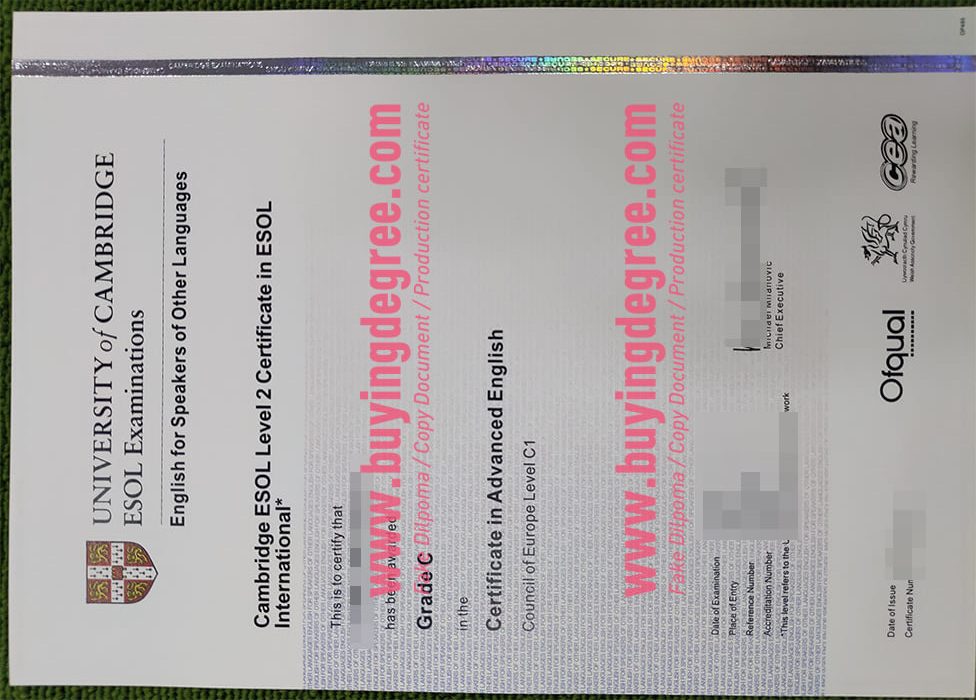 Cambridge CAE certificate