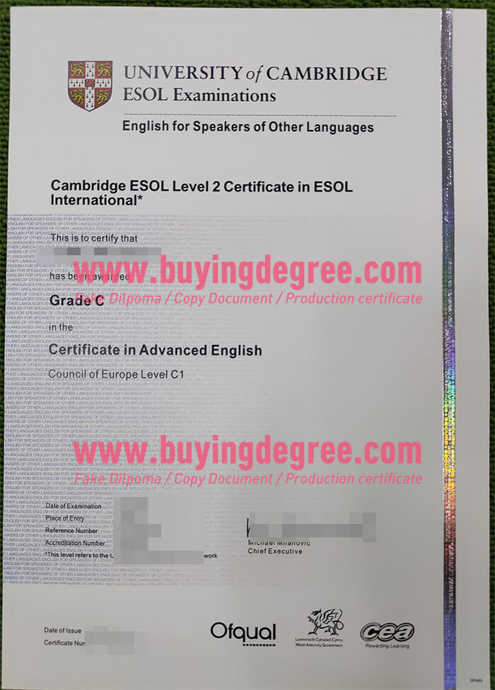 Cambridge CAE certificate