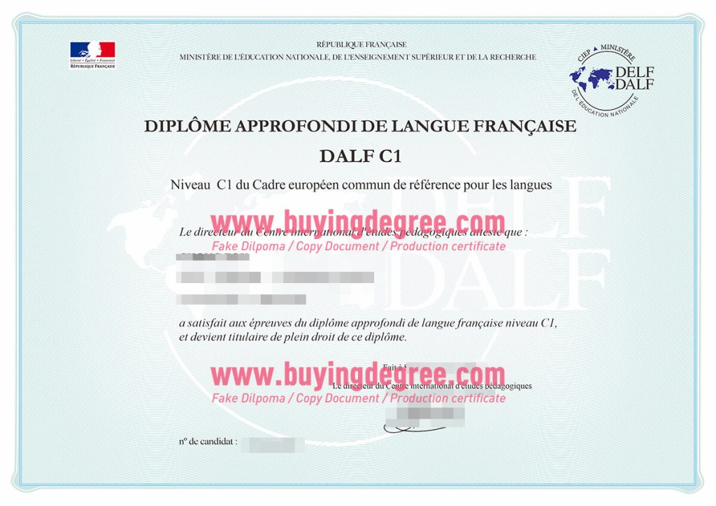 Fake DELF diploma certificate