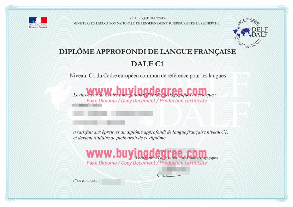 Fake DELF diploma certificate