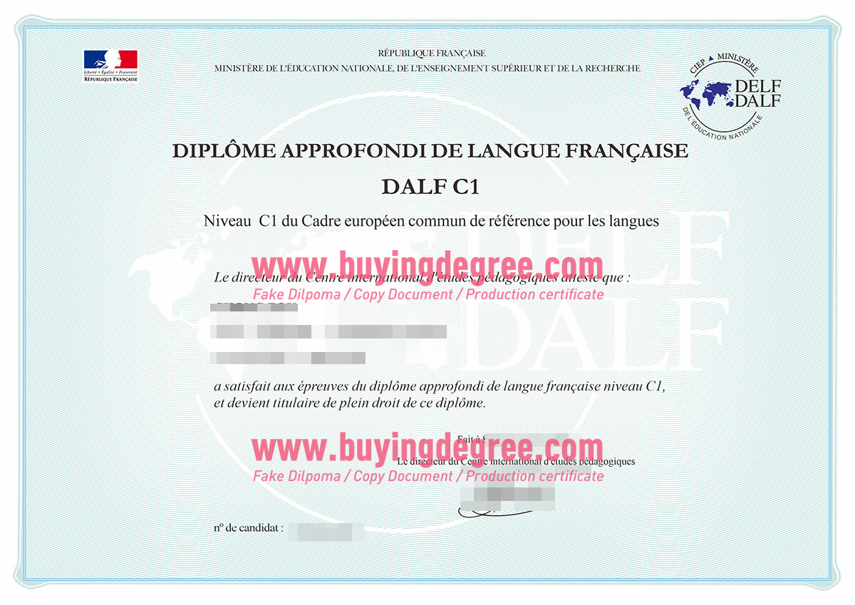 DELF diploma certificate 