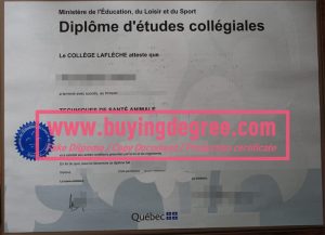 Diplôme d'études collégiales from Collège Laflèche Québec