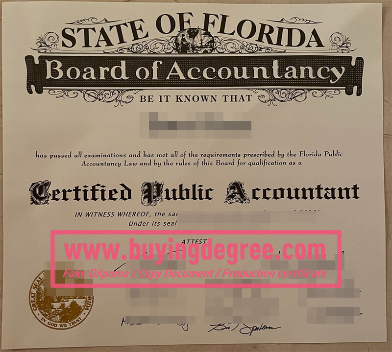 Florida CPA certificate