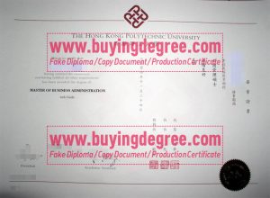 Hong Kong Polytechnic University degree