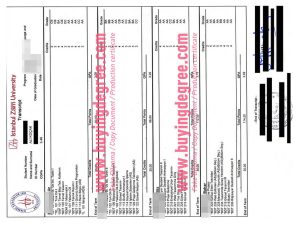 fake IZU transcript