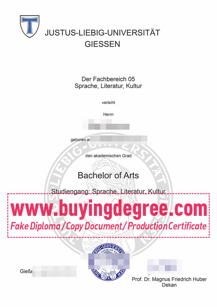 University of Giessen diploma