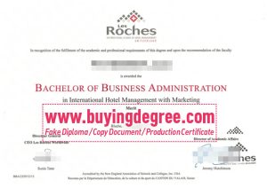 Les Roches diploma online