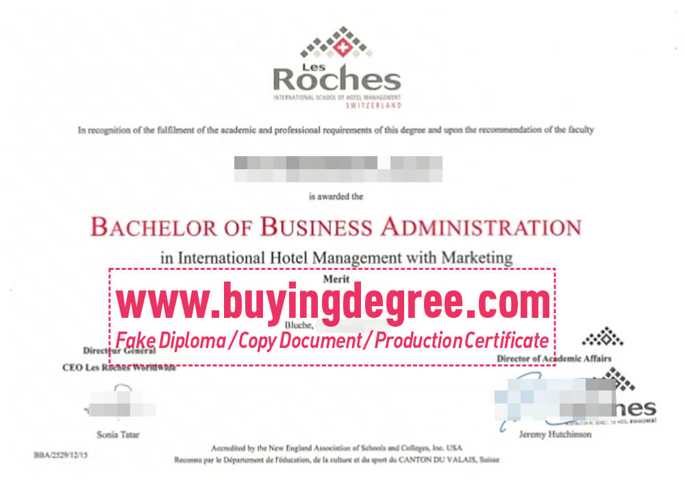 Les Roches diploma online