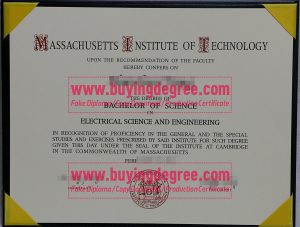 MIT degree