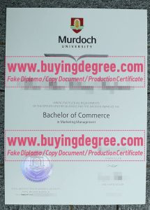 Murdoch University degree