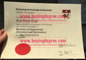 Nanyang Technological University degree