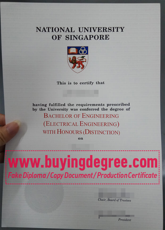 NUS degree