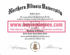 Northern Illinois University degree and transcript