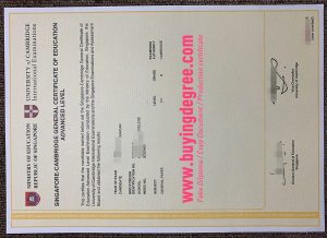 Singapore-Cambridge GCE certificate