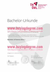 TH OWL degree verification