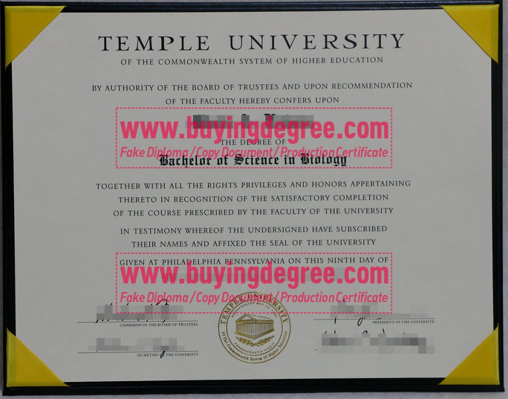 Temple University degree