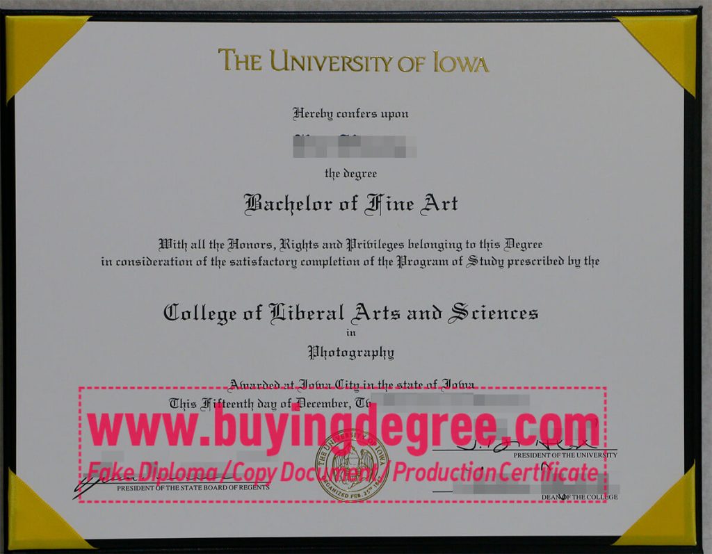 University of Iowa degree