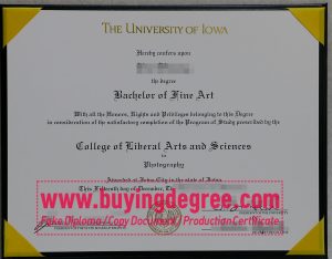 University of Iowa degree