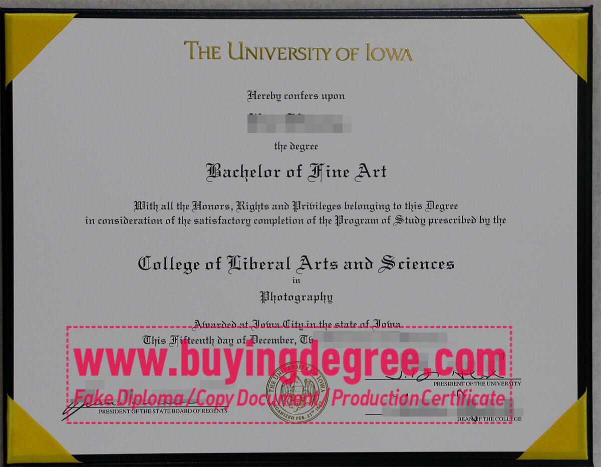 university of Lowa degree