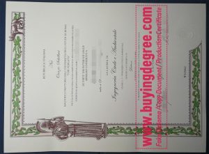 Get a fake University of Rome Tor Vergata diploma