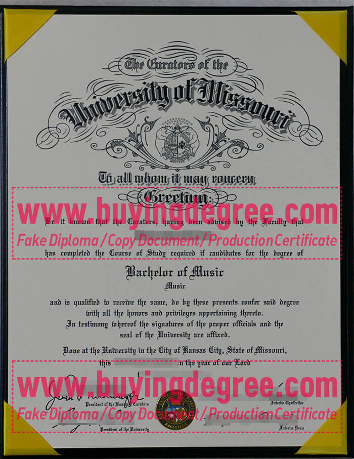 University of Missouri degree