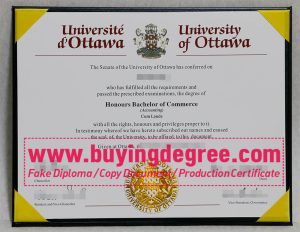 fake University of Ottawa degree and transcript