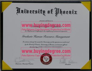 University of Phoenix degree