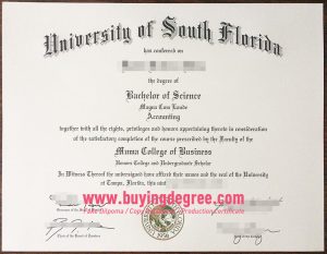 Customize a USF degree, fake University of South Florida diploma