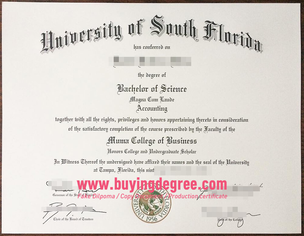 USF degree with transcript