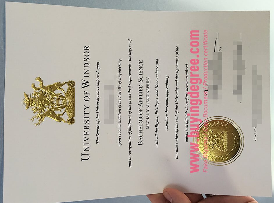 Fake University of Windsor bachelor's degree