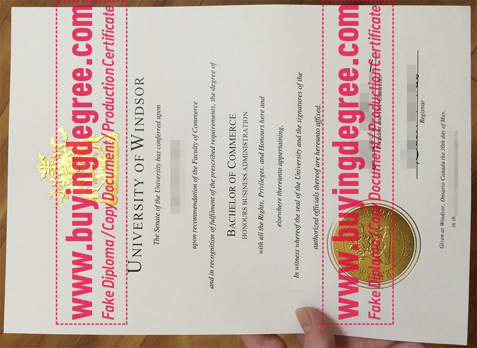 University of Windsor Diploma Certificate