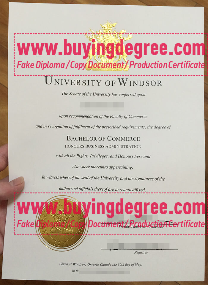 University of Windsor Diploma Certificate